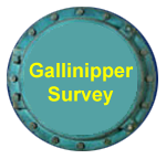 Gallinipper Survey